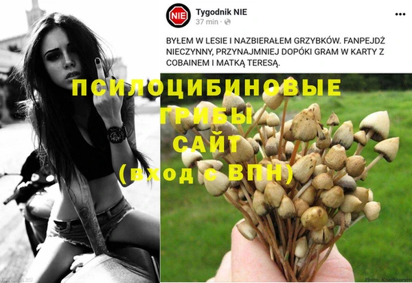 хмурый Алексеевка