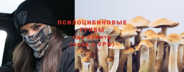 хмурый Алексеевка
