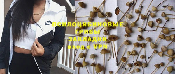 хмурый Алексеевка