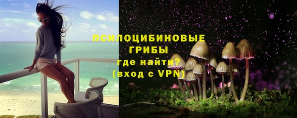 хмурый Алексеевка