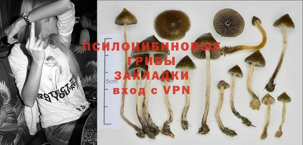 хмурый Алексеевка