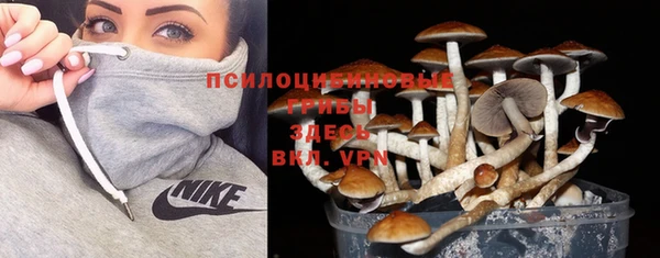 прущие крисы Алзамай