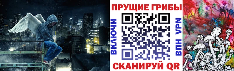 shop телеграм  Анива  Галлюциногенные грибы ЛСД  где купить  